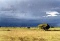 /album/fotogaleria/sabana-jpg/